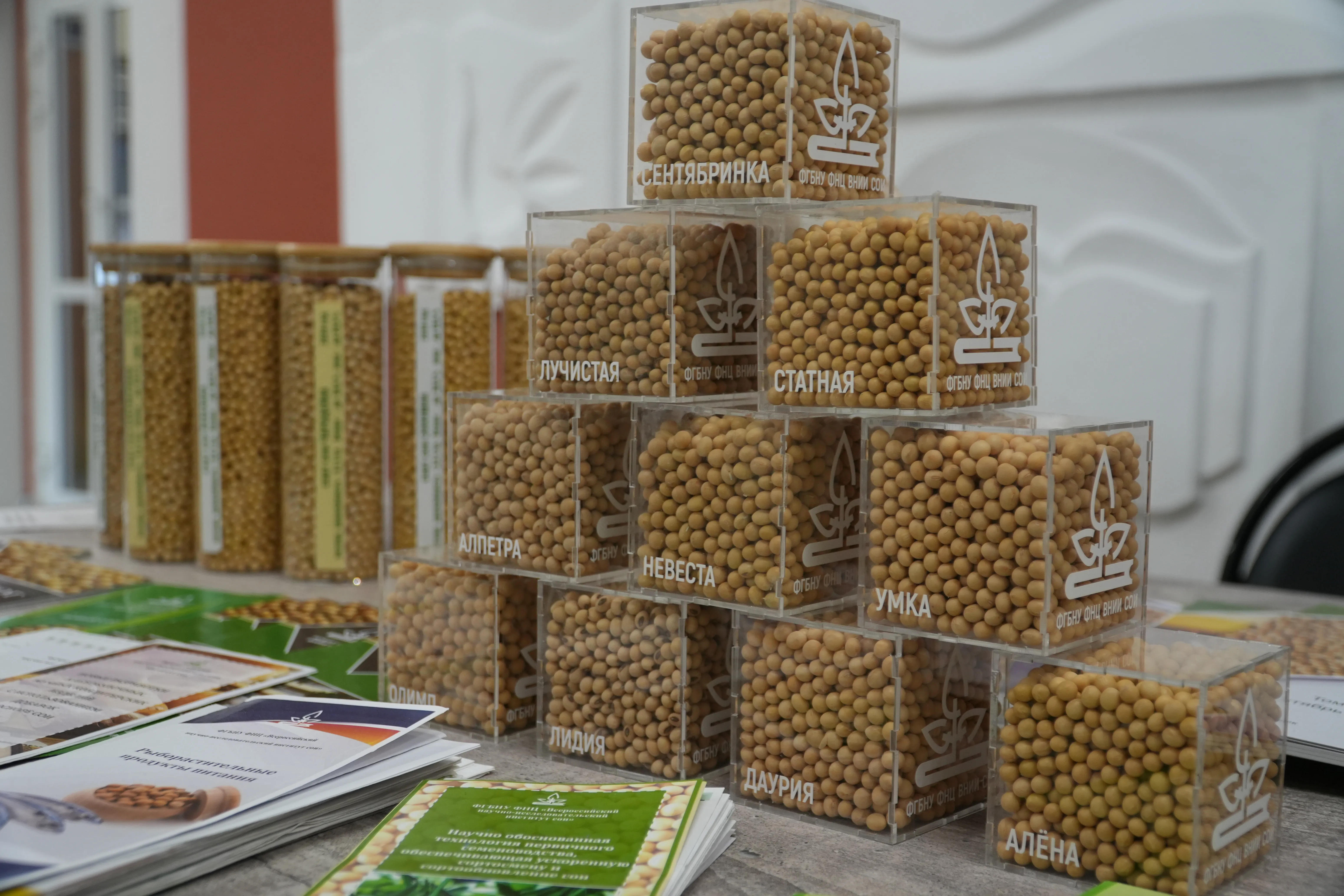 best MBBS university in Russia, best medical universities in Russia, top MBBS colleges in Russia, MBBS in Russia for Indian students, study MBBS in Russia, Russia MBBS admission 2026, MBBS in Russia without donation, MBBS in Russia low fees, MBBS in Russia fees structure, MBBS in Russia NEET required, sabse sasti university in Russia, Russia ki sasti university, low fees university in Russia, affordable university in Russia, kam fees wali university Russia, Affordable MBBS University in Russia