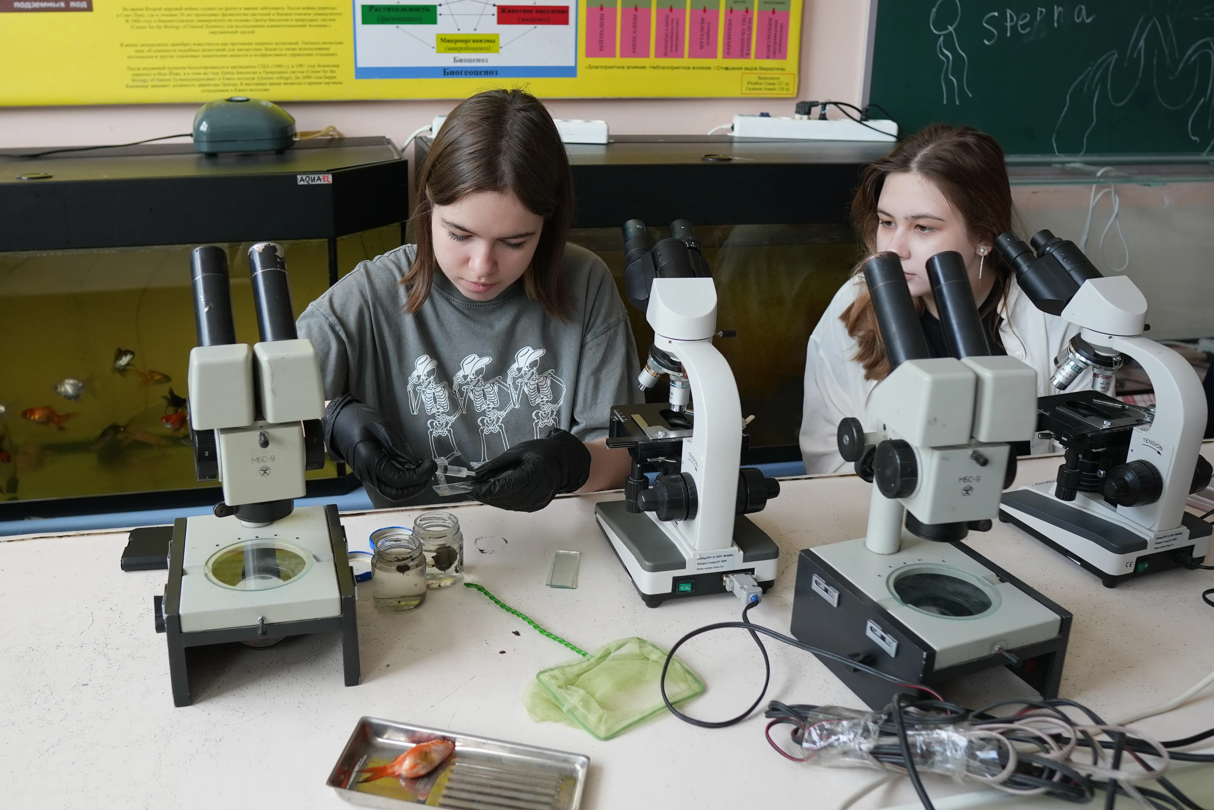 Medical education in Russia biology laboratory